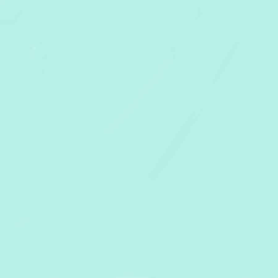 Plain Pastel Color Mint Green Wallpaper