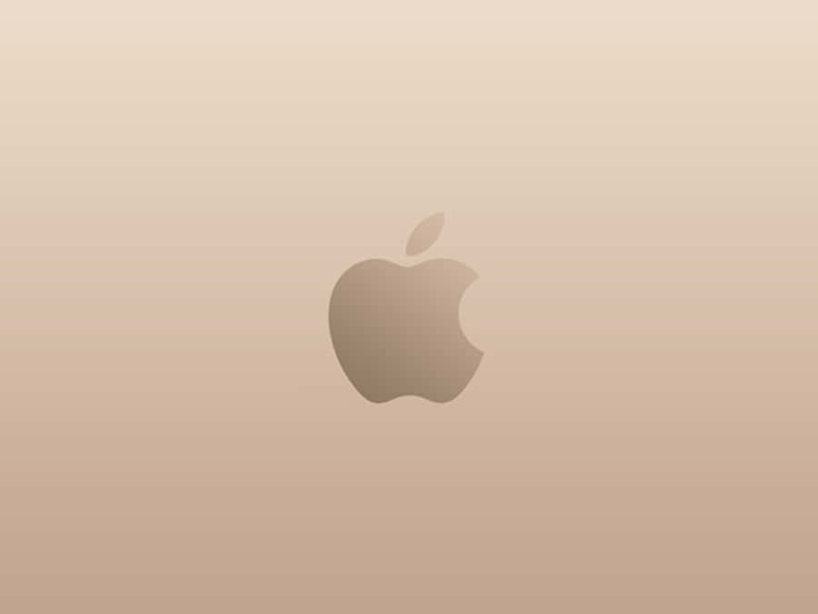 Plain Rose Gold Apple Wallpaper