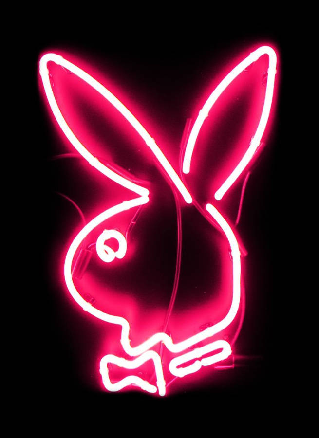 Playboy Logo Neon Pink Light Wallpaper
