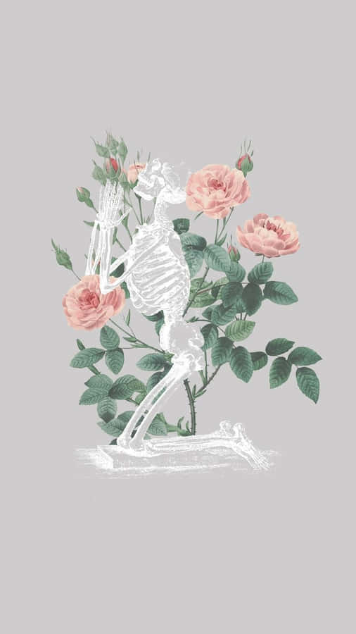 Praying Skeleton Floral Aesthetic Iphone Wallpaper