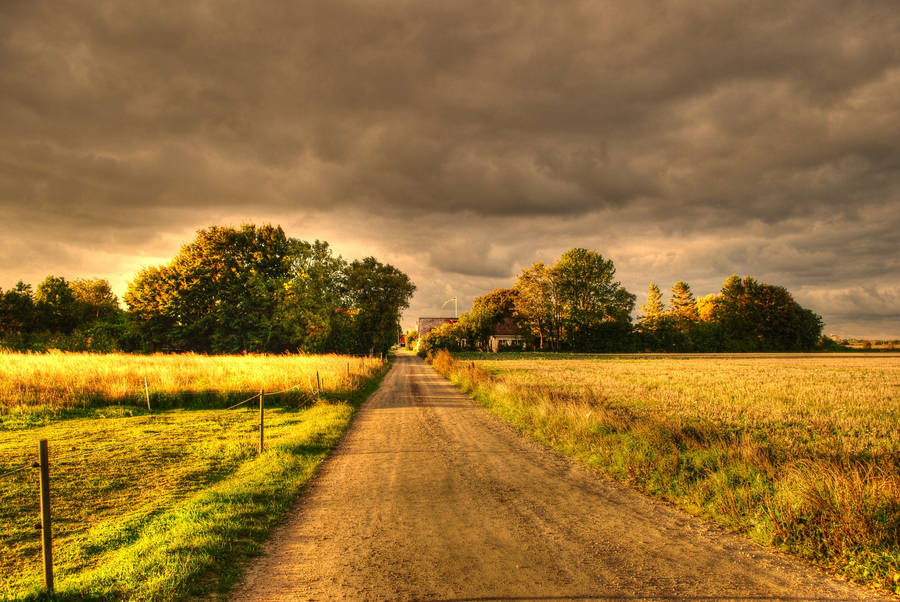 Preview Wallpaper Autumn, Field, Road, Landscape Wallpaper