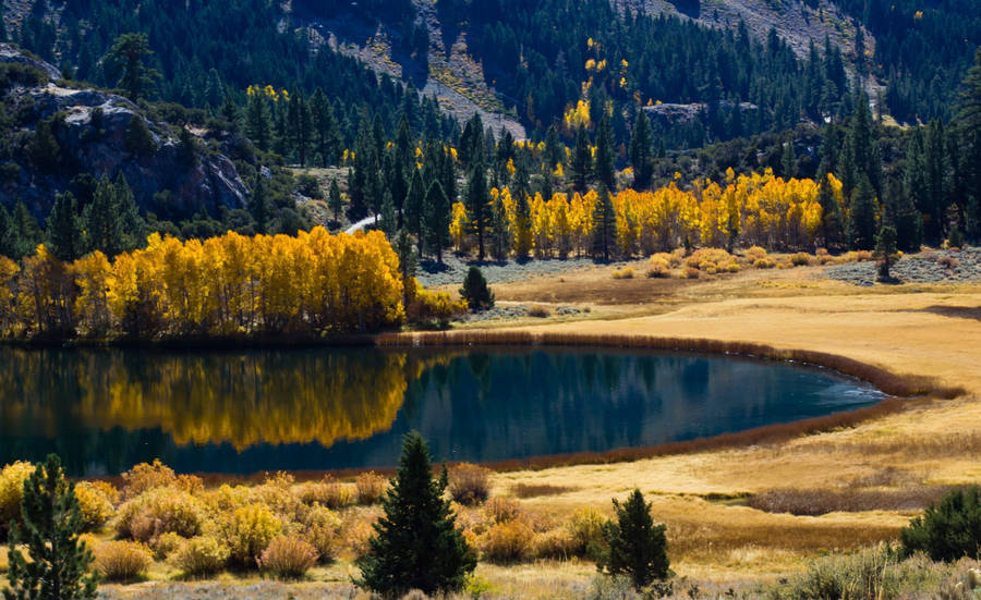 Preview Wallpaper Autumn, Lake, Trees, Mountains Wallpaper