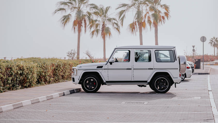 Preview Wallpaper Car, Suv, White Wallpaper