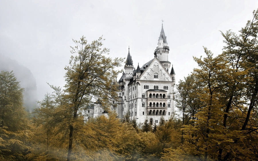 Preview Wallpaper Castle, Trees, Sky, Mist Wallpaper