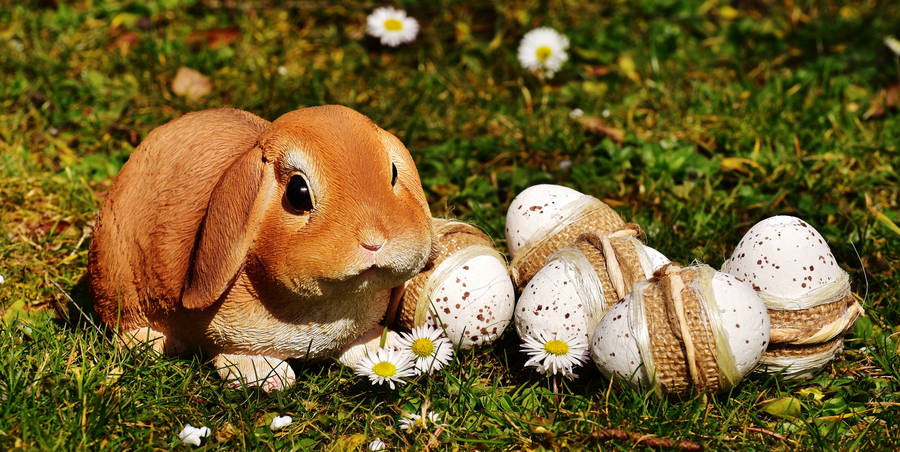 Preview Wallpaper Easter, Rabbit, Eggs Wallpaper
