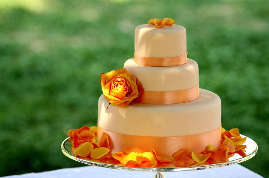 Preview Wallpaper Food, Dessert, Sweet, Delicious, Cake, Big, Orange, Ribbon, Flower, Rose, Yellow, Petals Wallpaper
