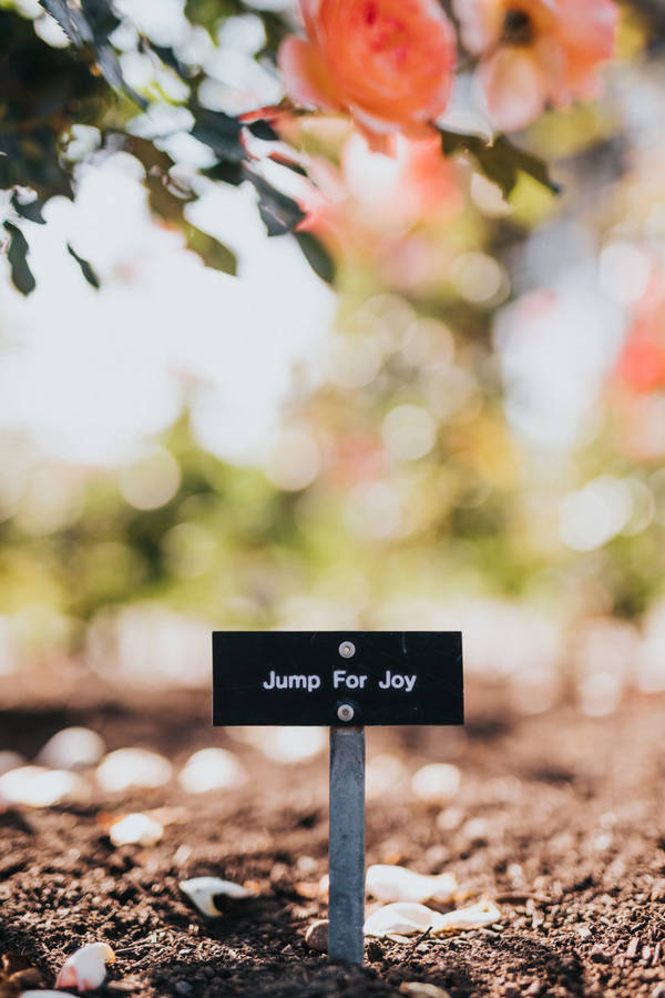 Preview Wallpaper Happiness, Cheerful, Inscription, Plate, Positive Wallpaper