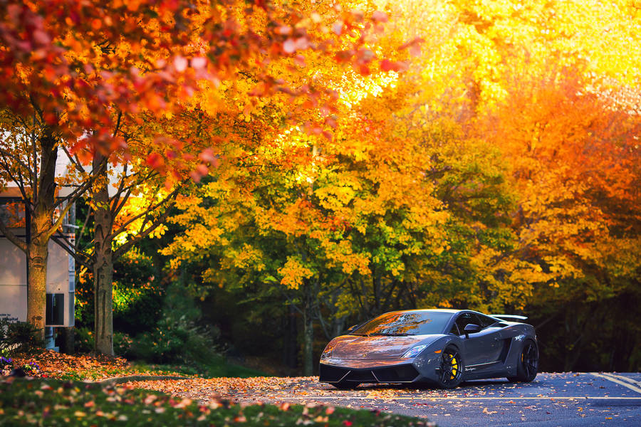 Preview Wallpaper Lamborghini, Autumn, Gallardo, Superleggera, Lp570 Wallpaper