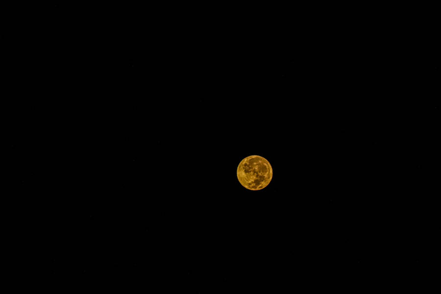 Preview Wallpaper Moon, Dark, Yellow Wallpaper