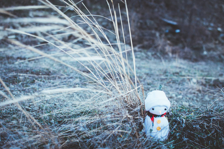 Preview Wallpaper Snowman, Christmas, New Year, Toy, Grass, Blur Wallpaper
