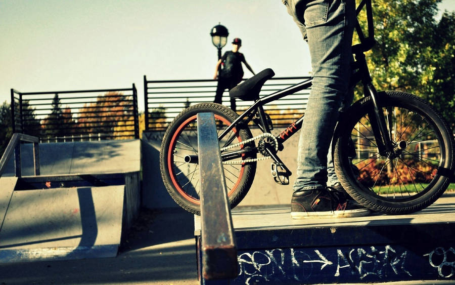 Preview Wallpaper Sports, People, Bmx, Bike Wallpaper