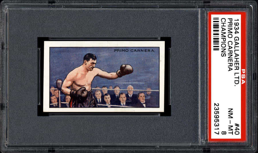 Primo Carnera 1934 Psa Gallaher Ltd Champions Collector Card Wallpaper