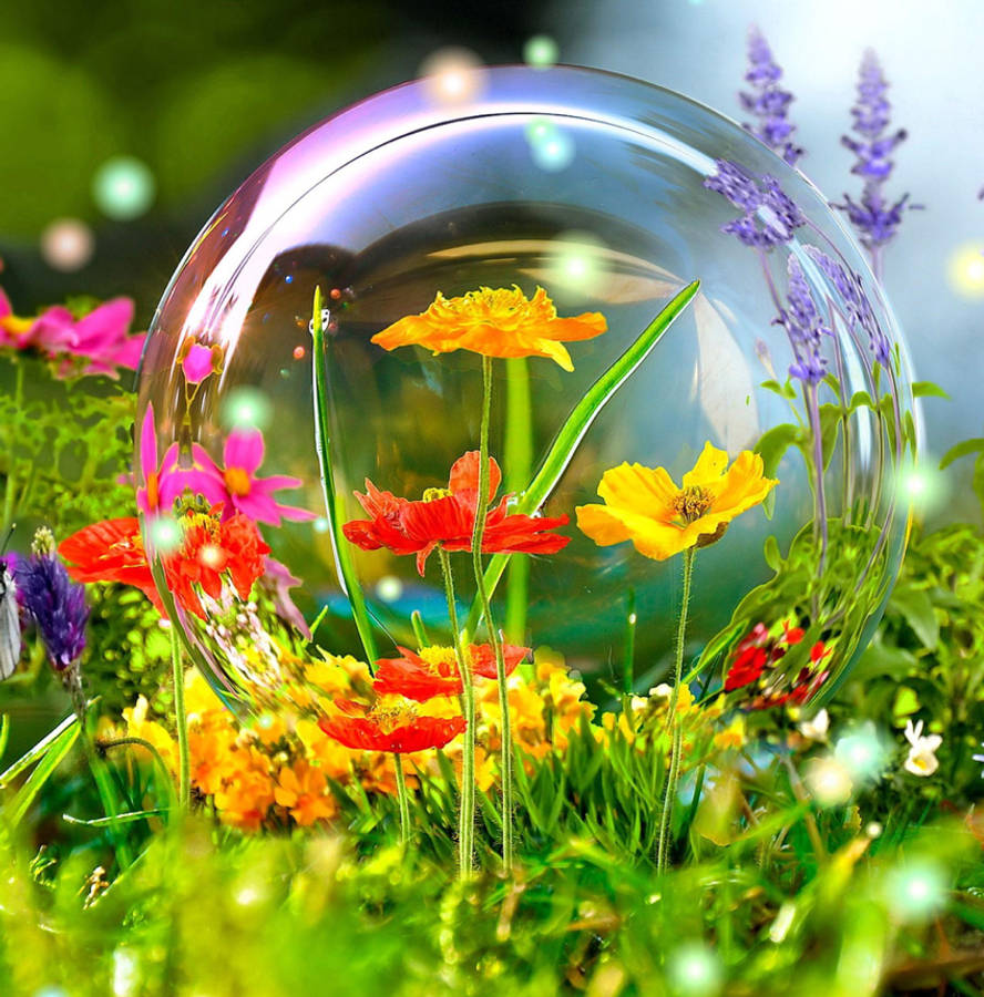 Primrose 3d Nature Wallpaper