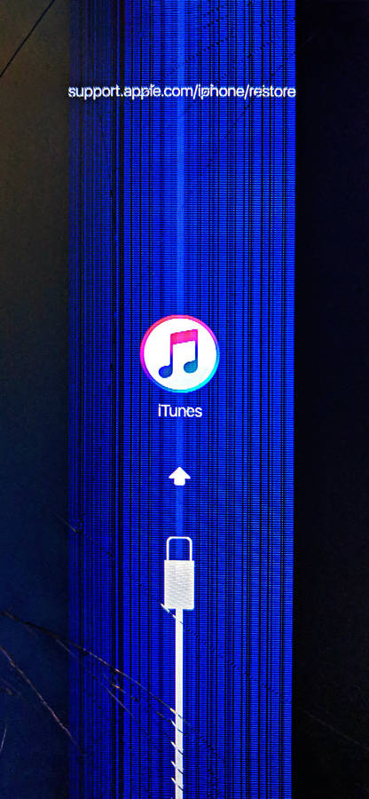 Protect Your Phone Now Wallpaper