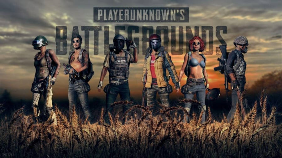 Pubg Banner Six Players Side By Side Wallpaper