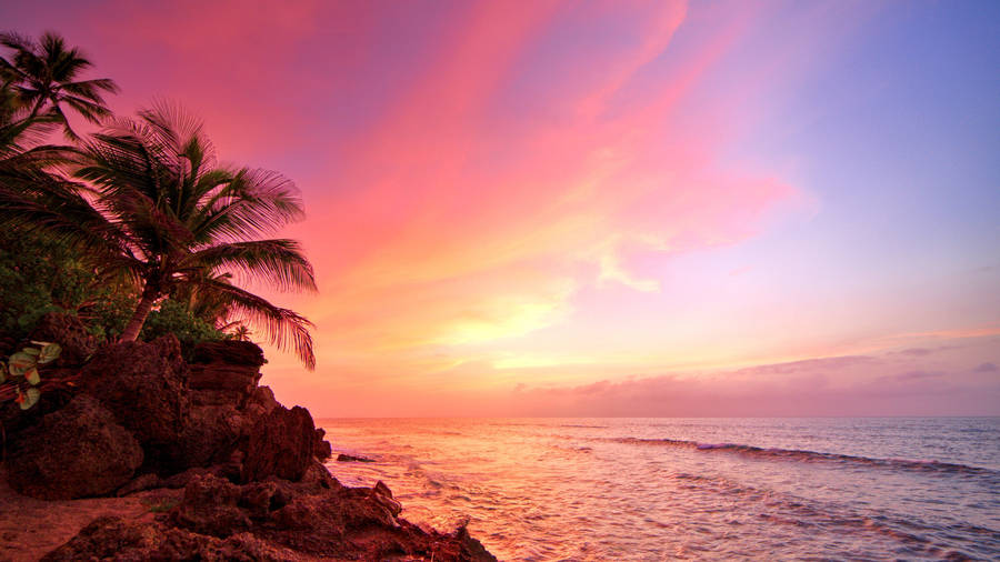 Puerto Rico Tropical View Effect Wallpaper