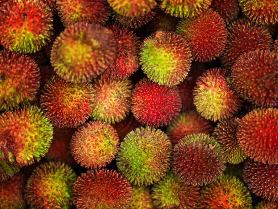 Pulasan Fruits Harvested Wallpaper