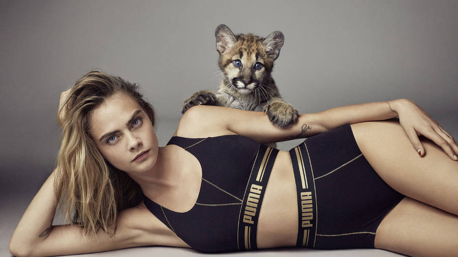 Puma With Cara Wallpaper