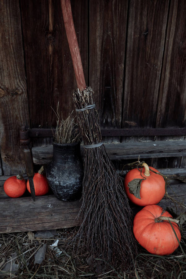 Pumpkins Beside Rustic Fall Broomstick Wallpaper