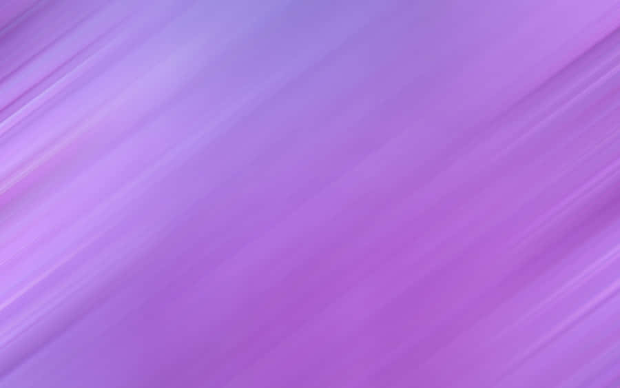 Pure And Solid, Light Purple Colouring Wallpaper