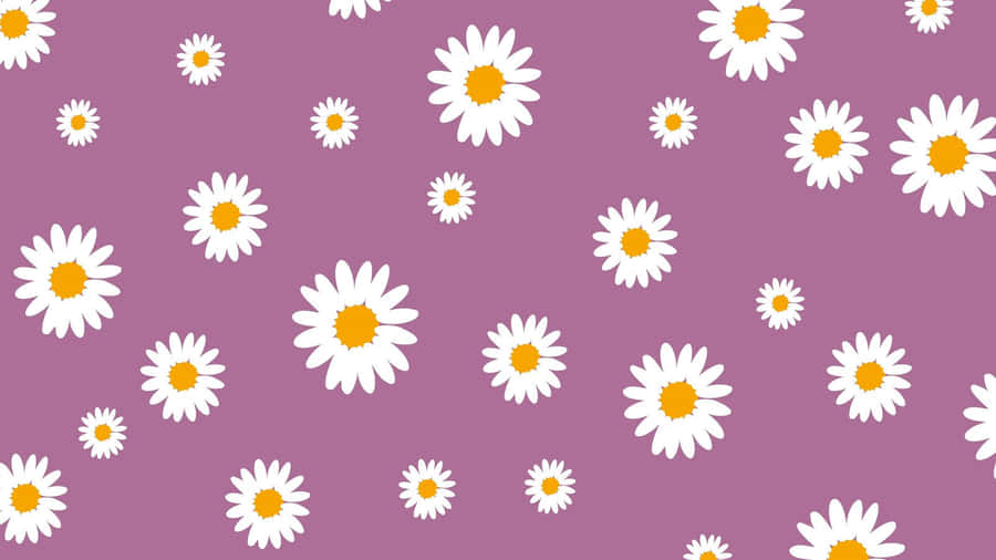 Purple Daisy Aesthetic Computer Wallpaper