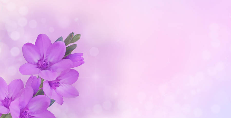 Purple Happy Birthday Flowers Wallpaper