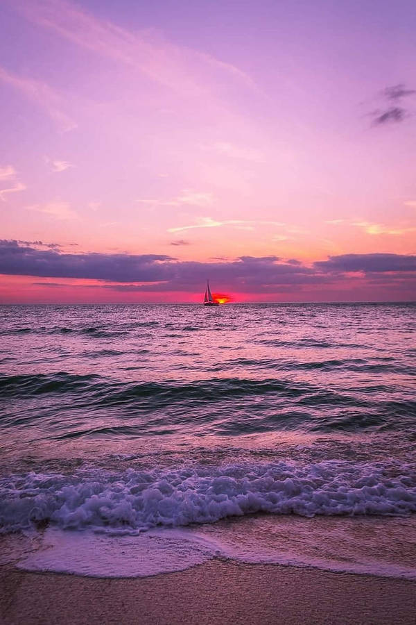 Purple Skies Florida Wallpaper