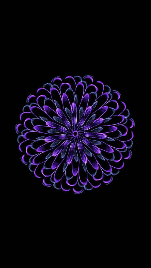 Purple Zinnia Flower Apple Wallpaper
