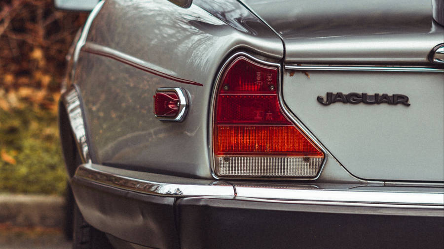 Race Ready In Silver - Jaguar Car Wallpaper