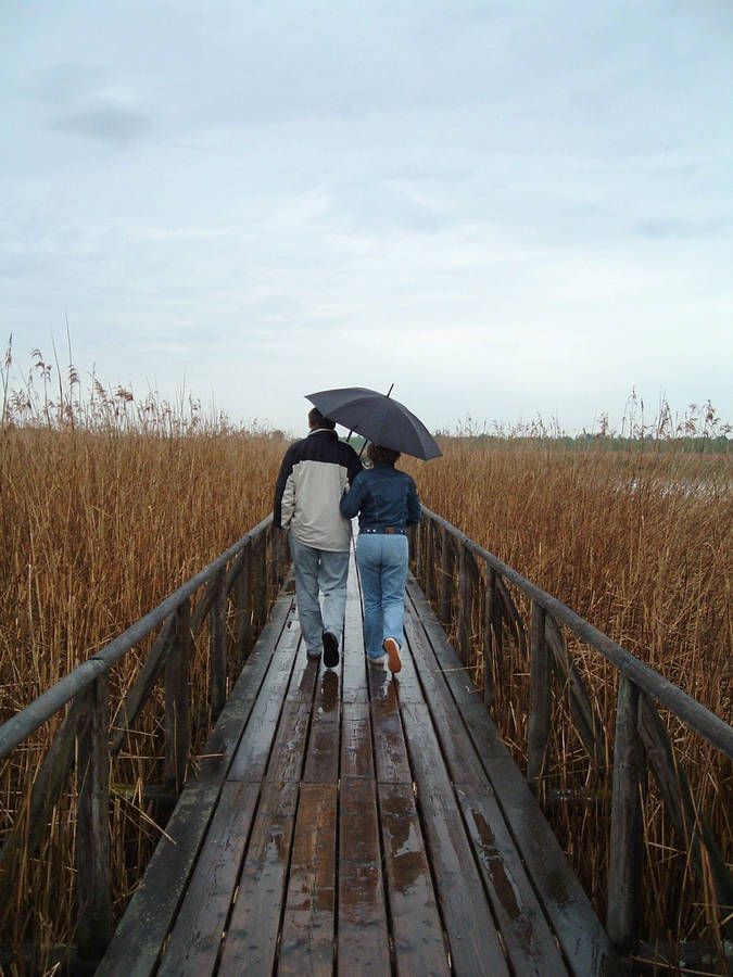 Rain Couple On Wooden Bridge Wallpaper