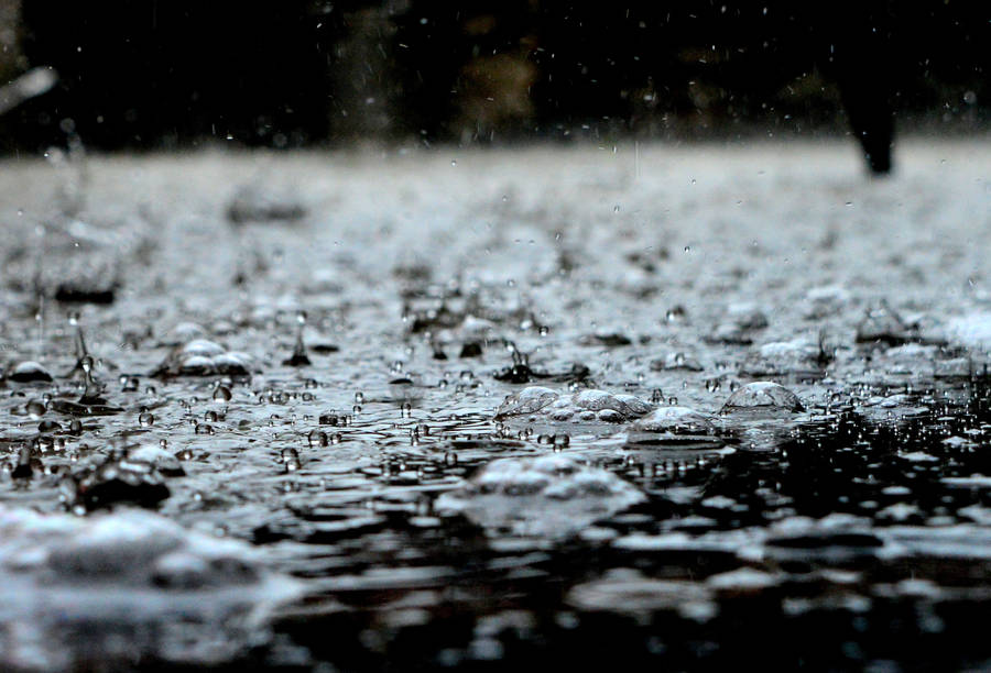 Rain Nature Raindrops Wallpaper