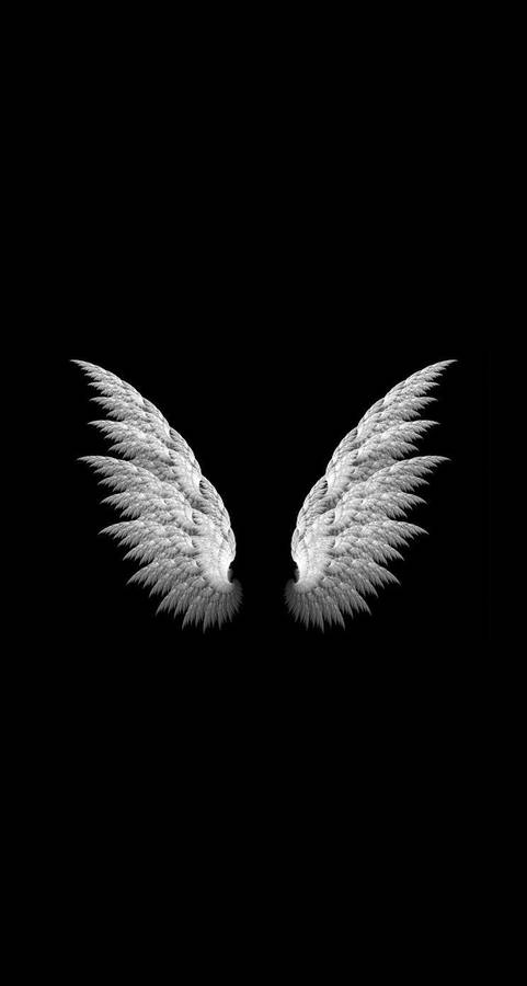 Realistic White Angel Wings Pair Isolated Wallpaper