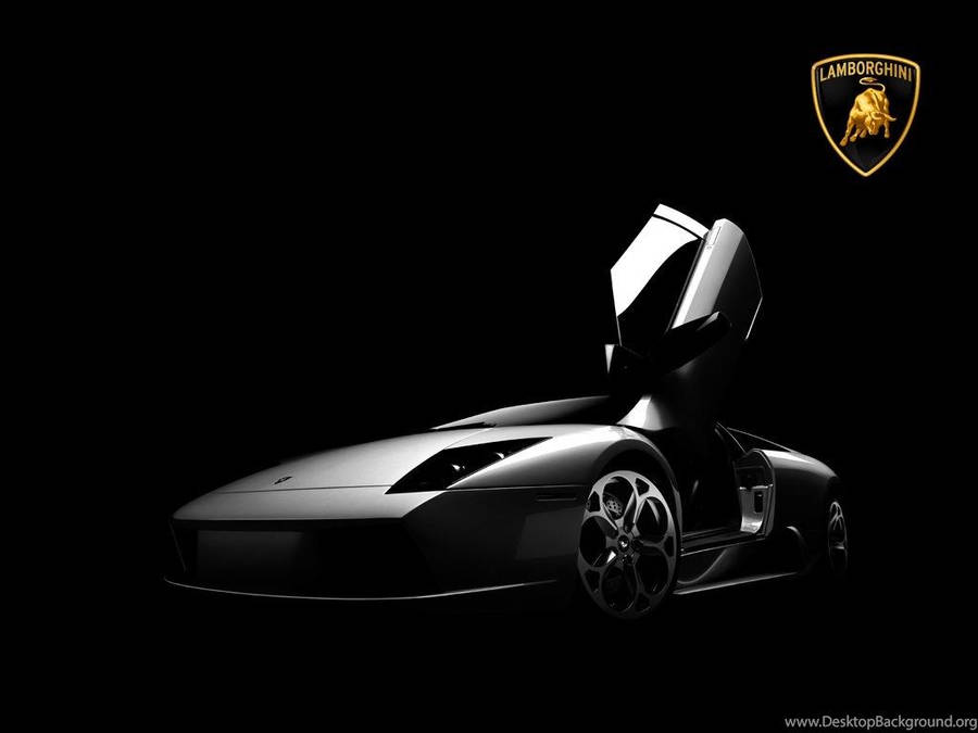 Really Cool Cars Lamborghini Murcielago Wallpaper