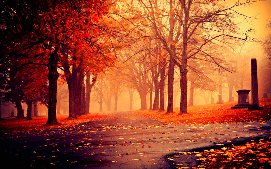 Red Autumn Season Landscape Wallpaper