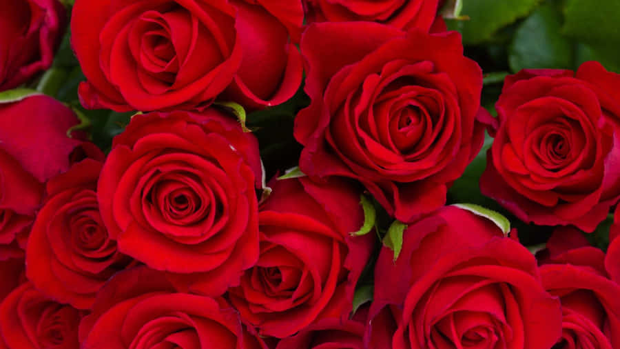 Red Background With Abstract Shapes Wallpaper