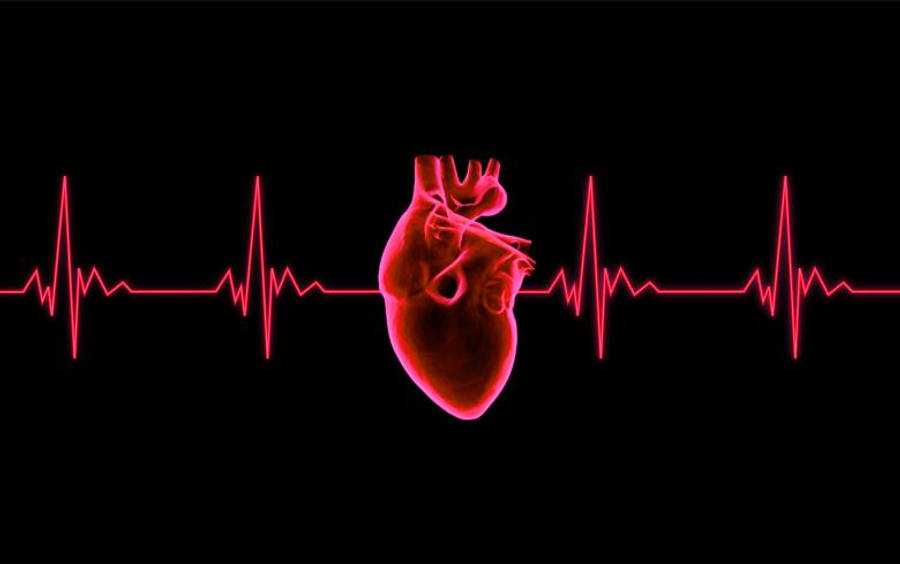 Red Heartbeat Graph Wallpaper