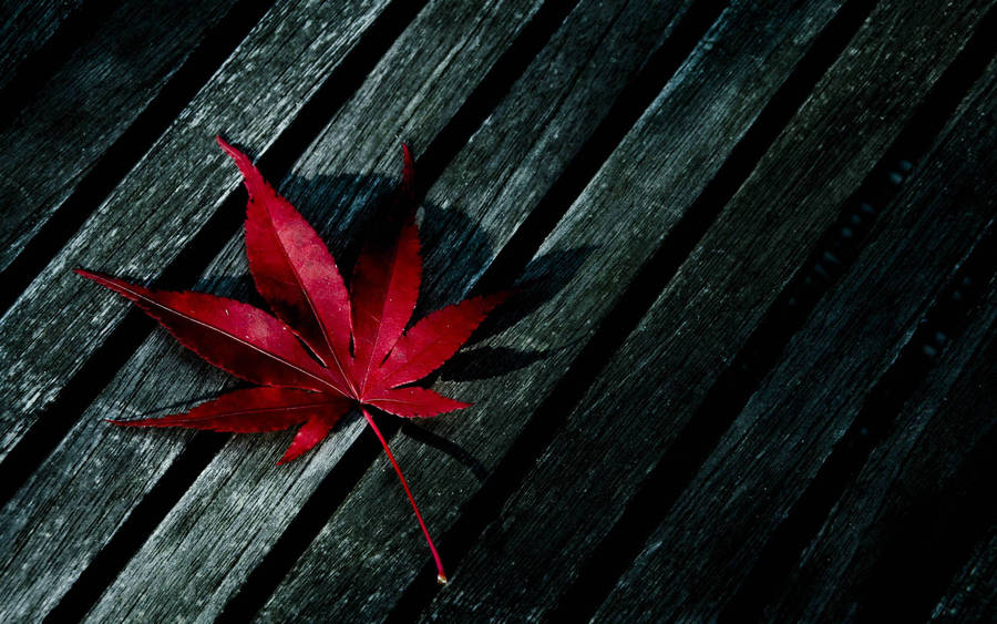 Red Leaf Themed Weed Aesthetics Wallpaper