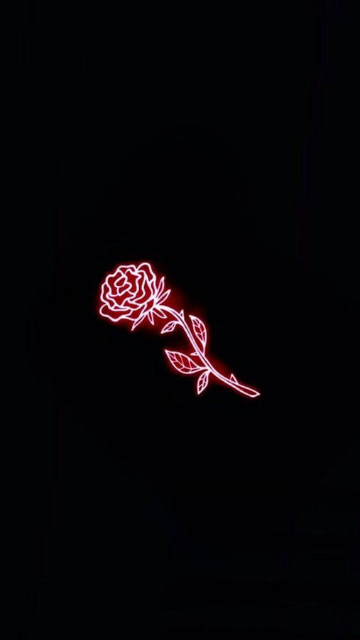 Red Rose Black Neon Aesthetic Wallpaper