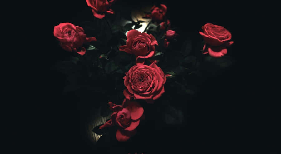 Red Roses Laptop Flower Arrangement Wallpaper