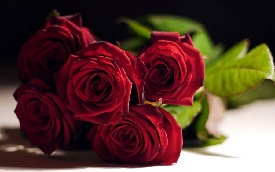 Red Roses Stand In Elegant Formation Wallpaper