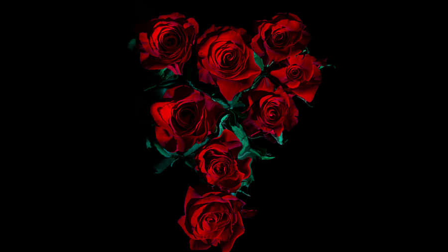 Red Roseson Black Background4 K Wallpaper