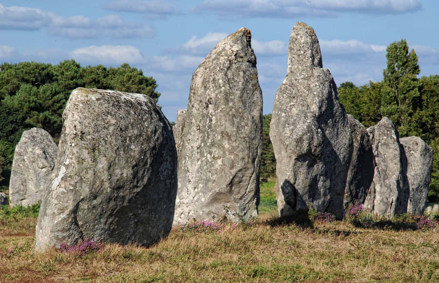 Remarkable Carnac Stones In France Wallpaper
