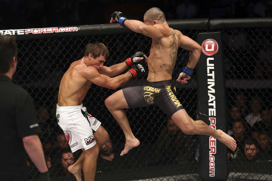 Renan Barão Ultimate Fighting Championship Match Wallpaper