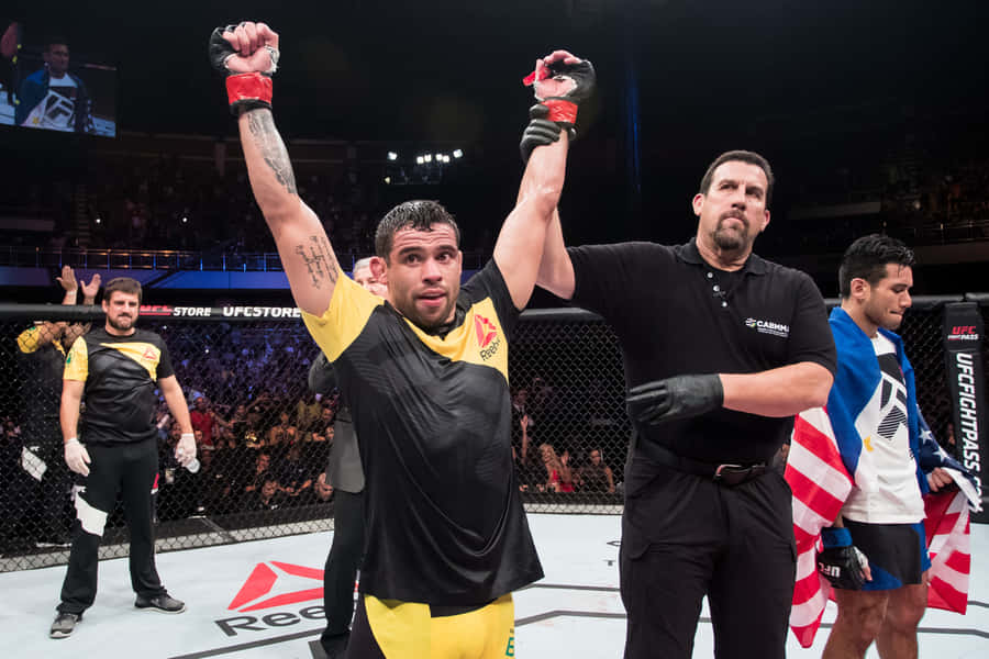 Renan Barão Wins Against Phillippe Nover Wallpaper