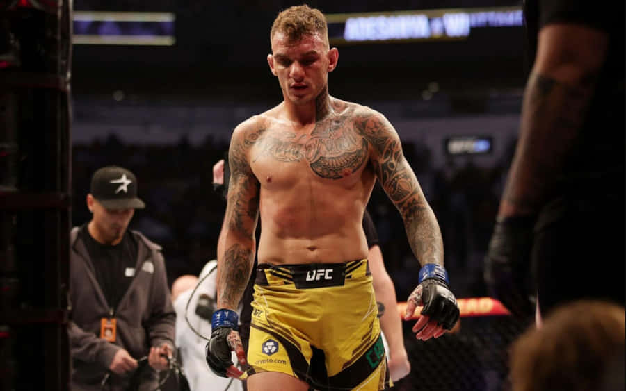 Renato Moicano In The Ring Wallpaper