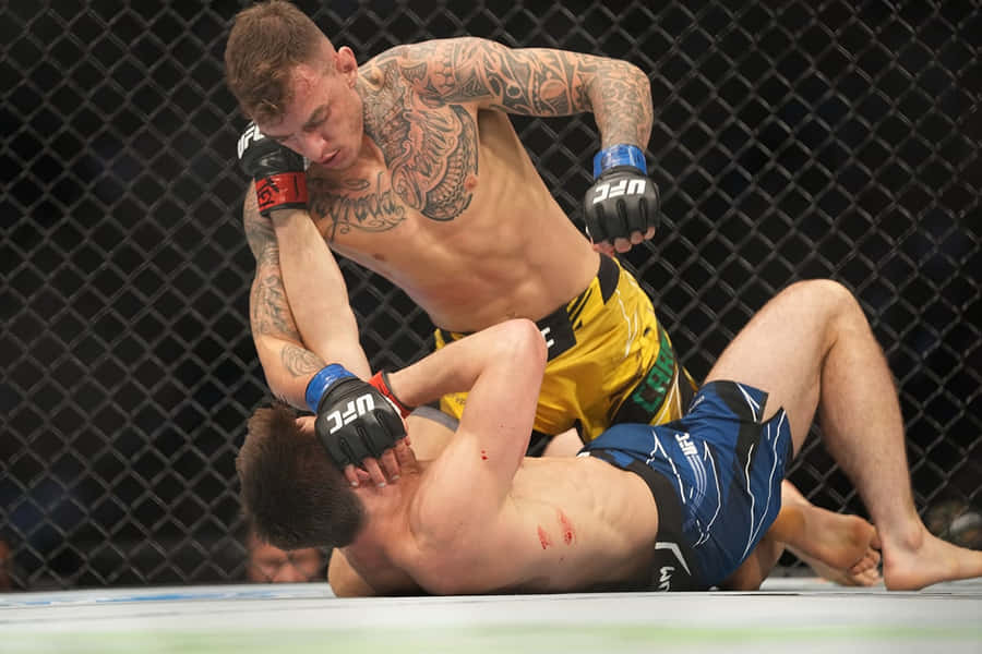 Renato Moicano Ufc Match Wallpaper