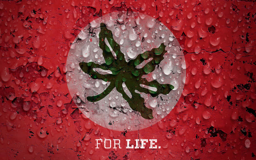 Represent The Cool Ohio State Spirit! Wallpaper
