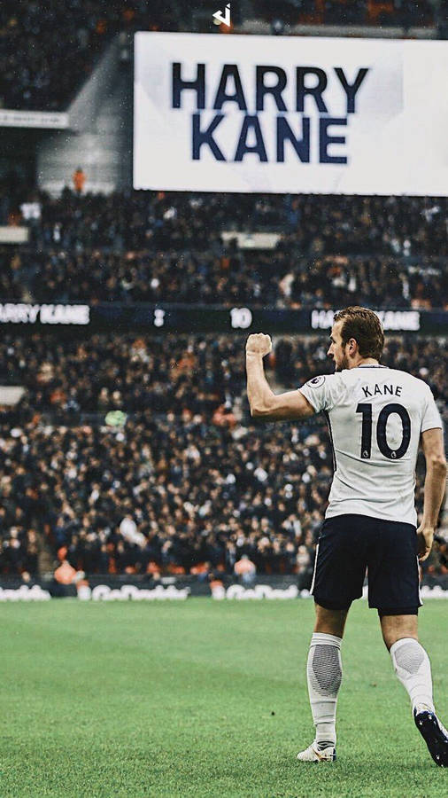 Retrospective View Harry Kane Wallpaper