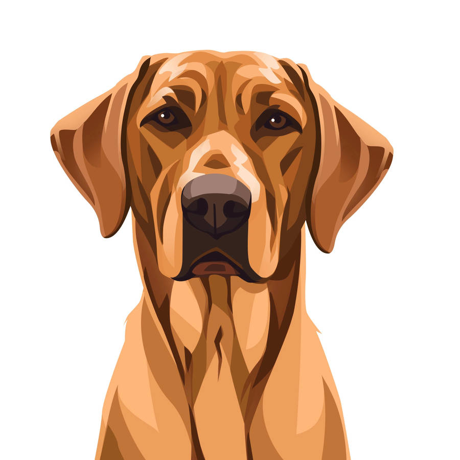 Rhodesian Ridgeback Dog Art Wallpaper