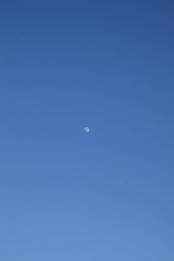 Rin Okumura In Blue Exorcist Action Scene Wallpaper